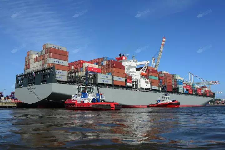 关于进口南非柑橘冷藏船运输检疫要求的公告